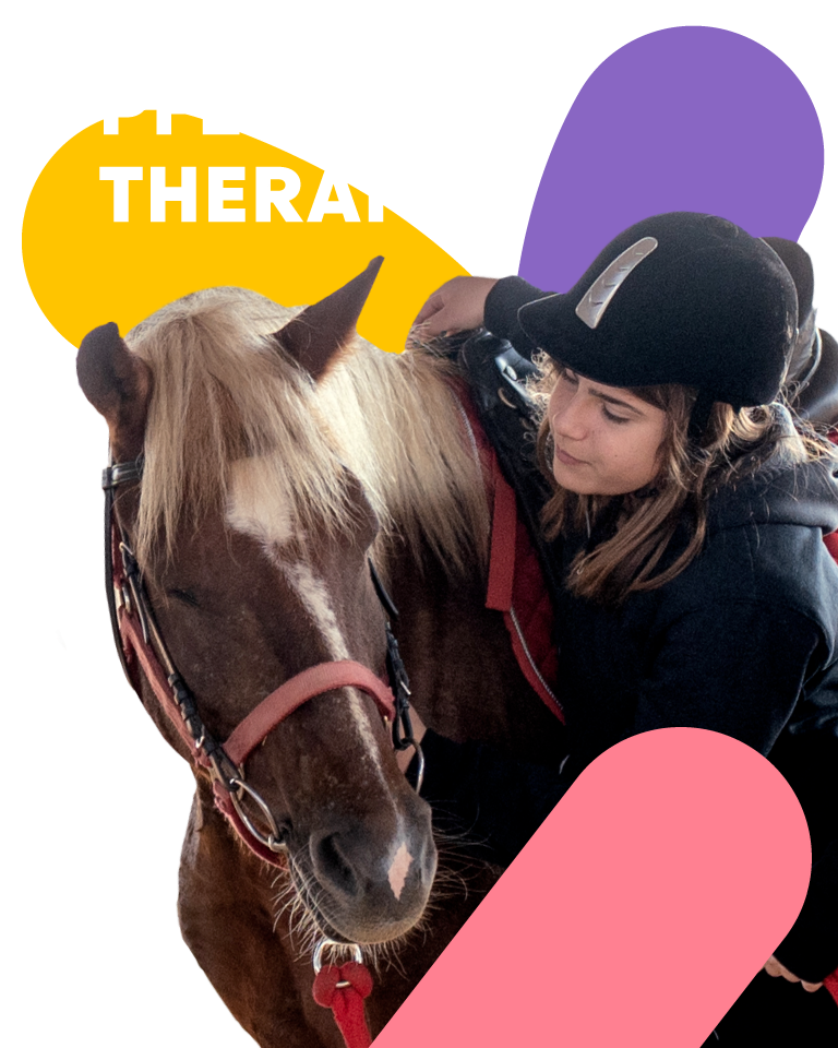 Pferde Therapie